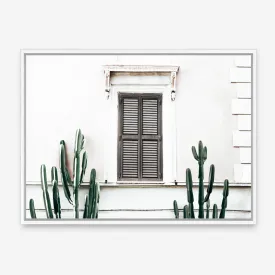 Cactus Villa II Photo Canvas Print